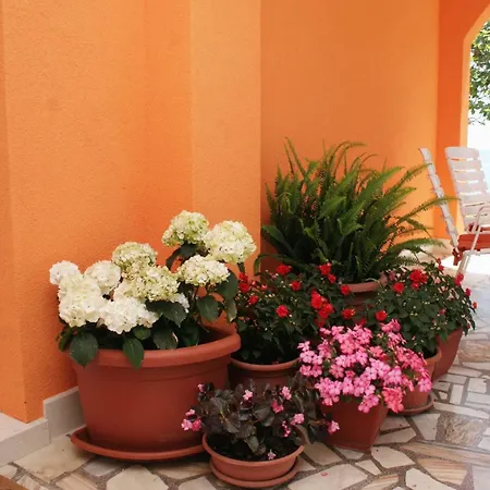 Family Friendly Seaside Orebic, Peljesac - 4537 *