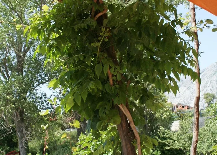 Διαμέρισμα Family Friendly Seaside Orebic, Peljesac - 4537 Orebić