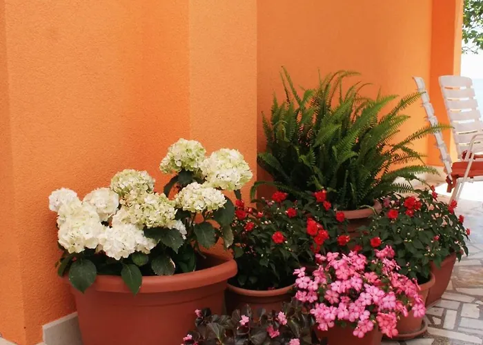 Family Friendly Seaside Orebic, Peljesac - 4537 *