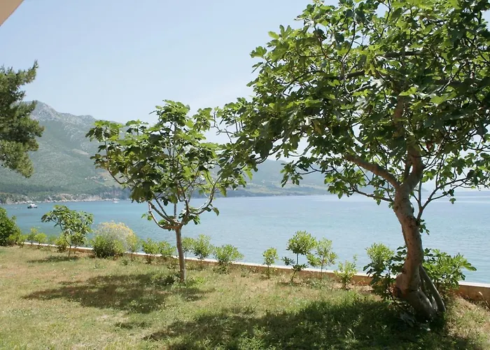 Apartament Family Friendly Seaside Orebic, Peljesac - 4537